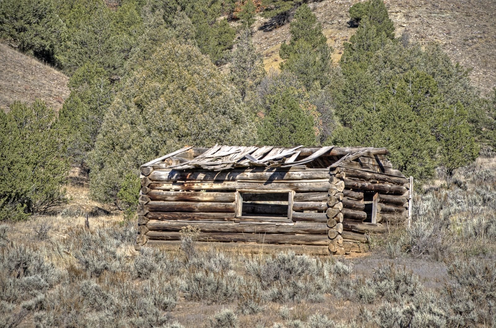 Image of a collapsing log cabin in Dyersville, Colorado