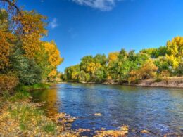 The Arkansas River in Colorado during the fall