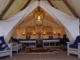 Image of one of the tents at Black Tree Resort in Colorado