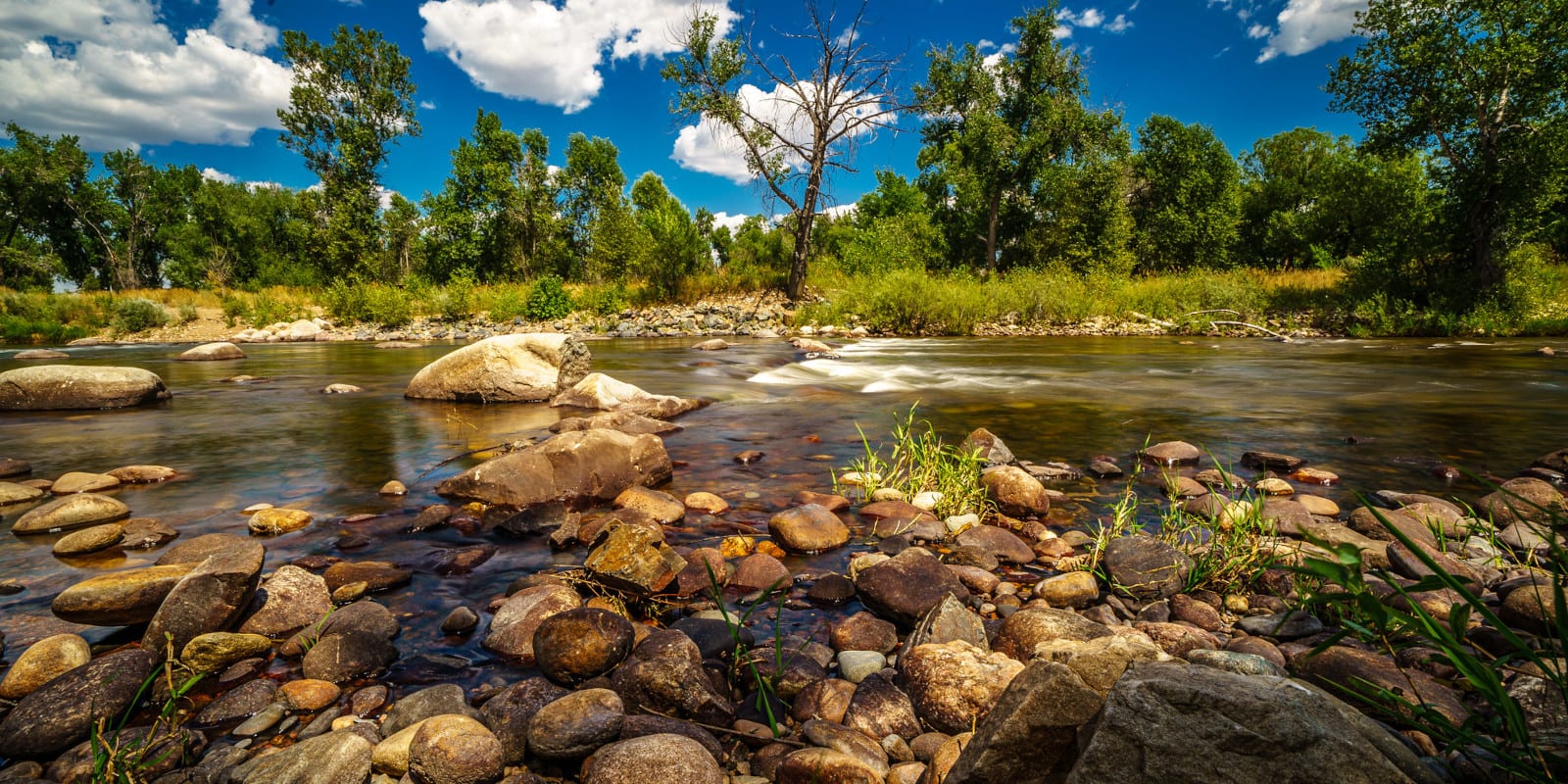 blød lækage Grøn baggrund Cache La Poudre River – near Fort Collins-Greeley, CO | Eastern Slope Stream