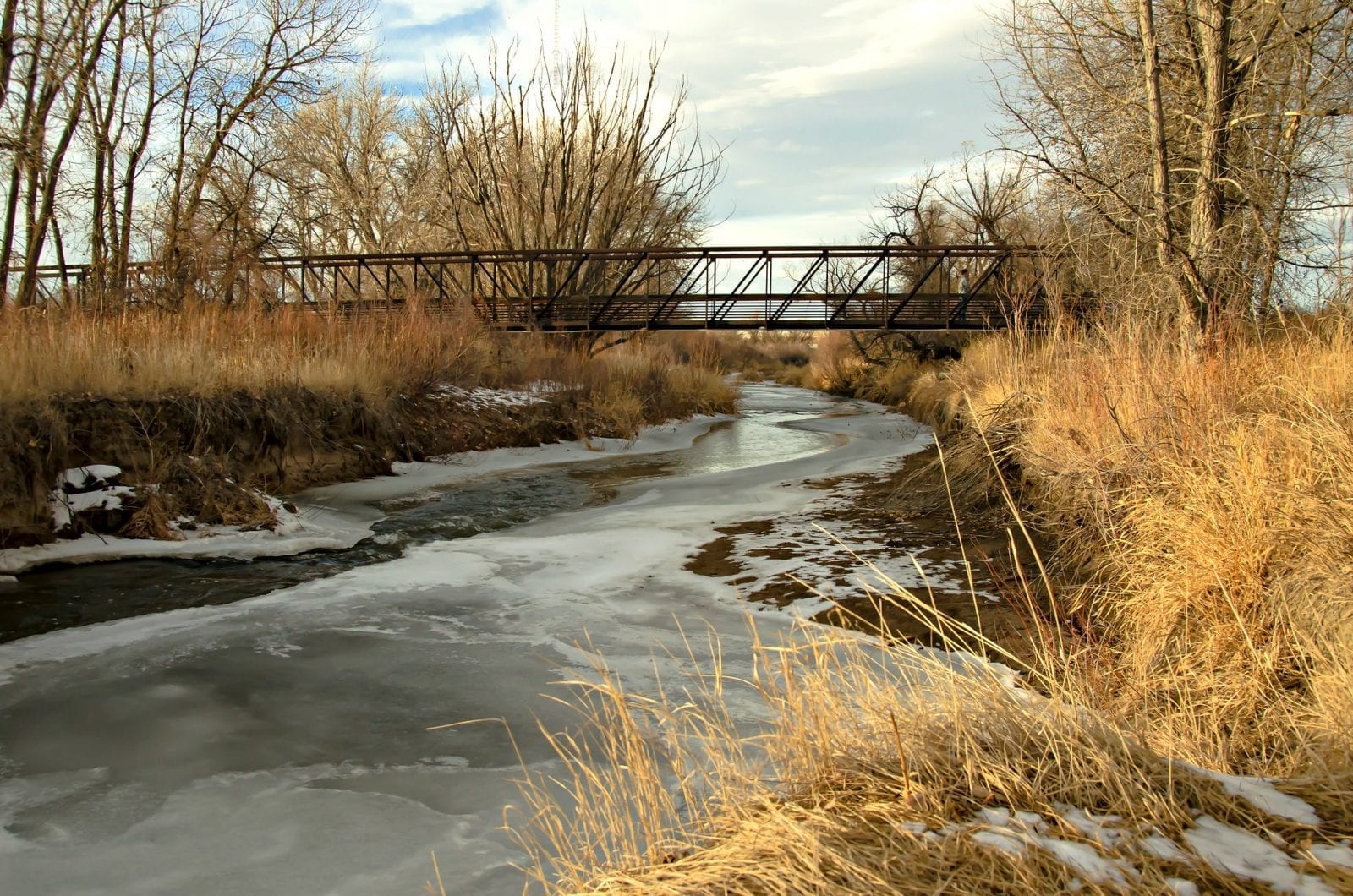 Image of Cherry Creek in Colorado during winter