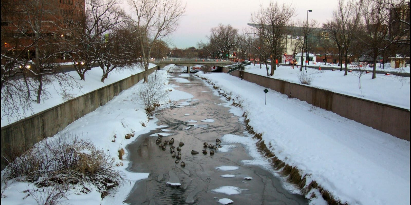 Image of Cherry Creek flowing through Denver in Colorado