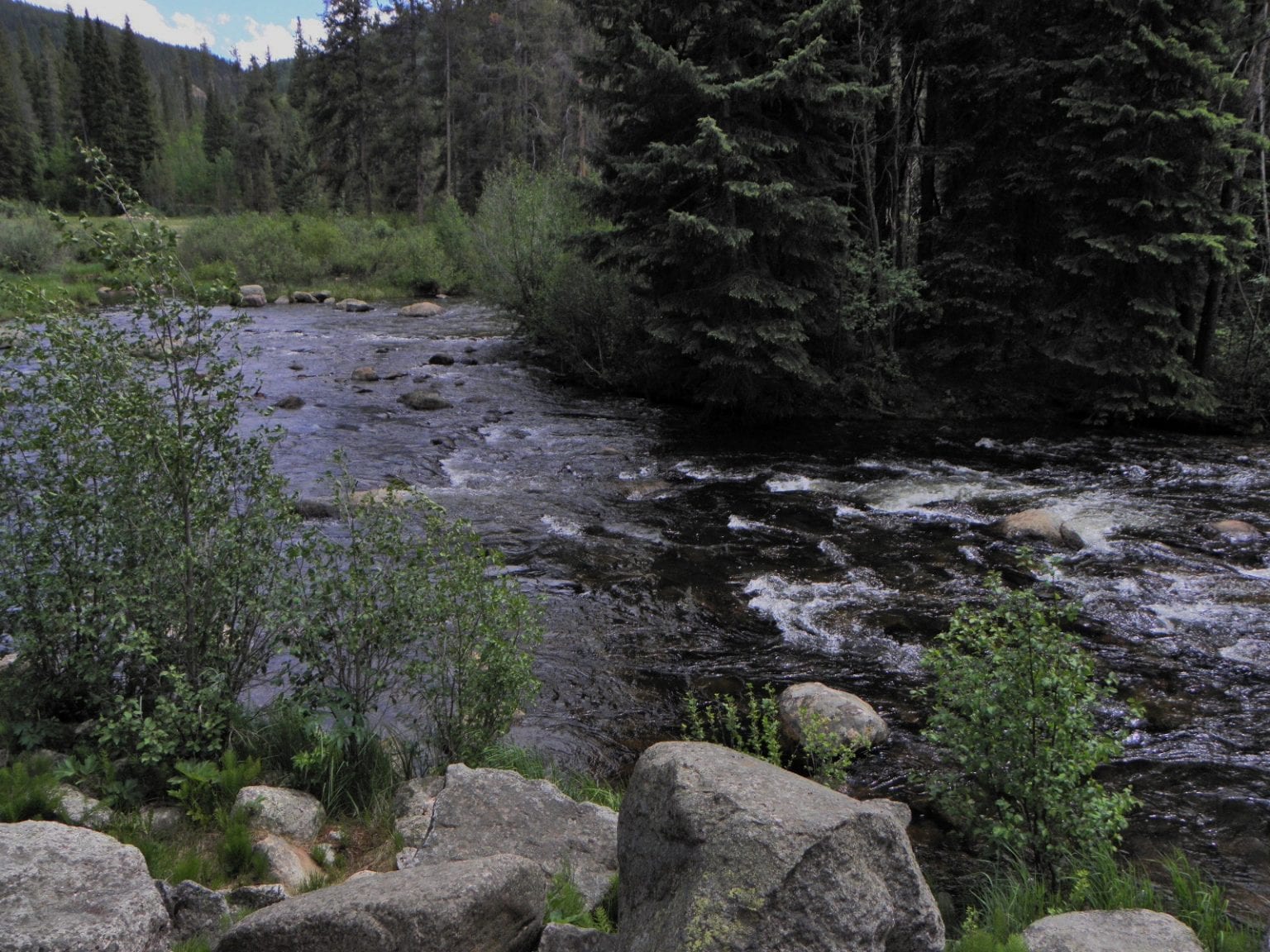 Fryingpan River near Basalt, CO White River National Forest