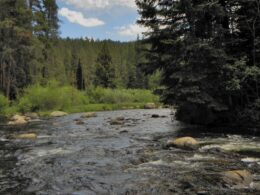 Image of the Fryingpan River in Colorado.