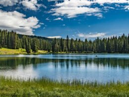 Grand Mesa National Forest Lake