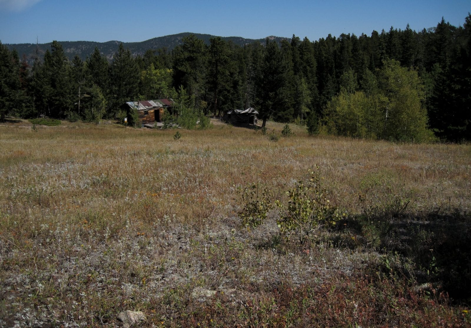 Image of the homestead meadows ghost town in colorado