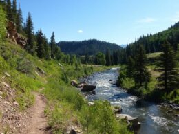 Image of the Piedra River in Colorado