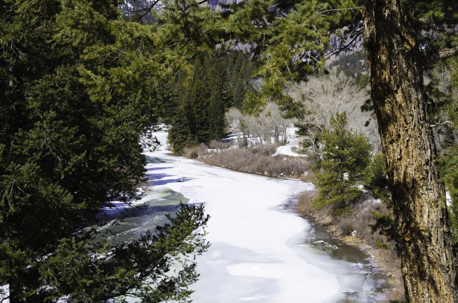 Image of an ice-covered Rio Grande River