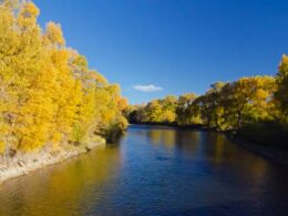 Image of the Rio Grande River during Autmun