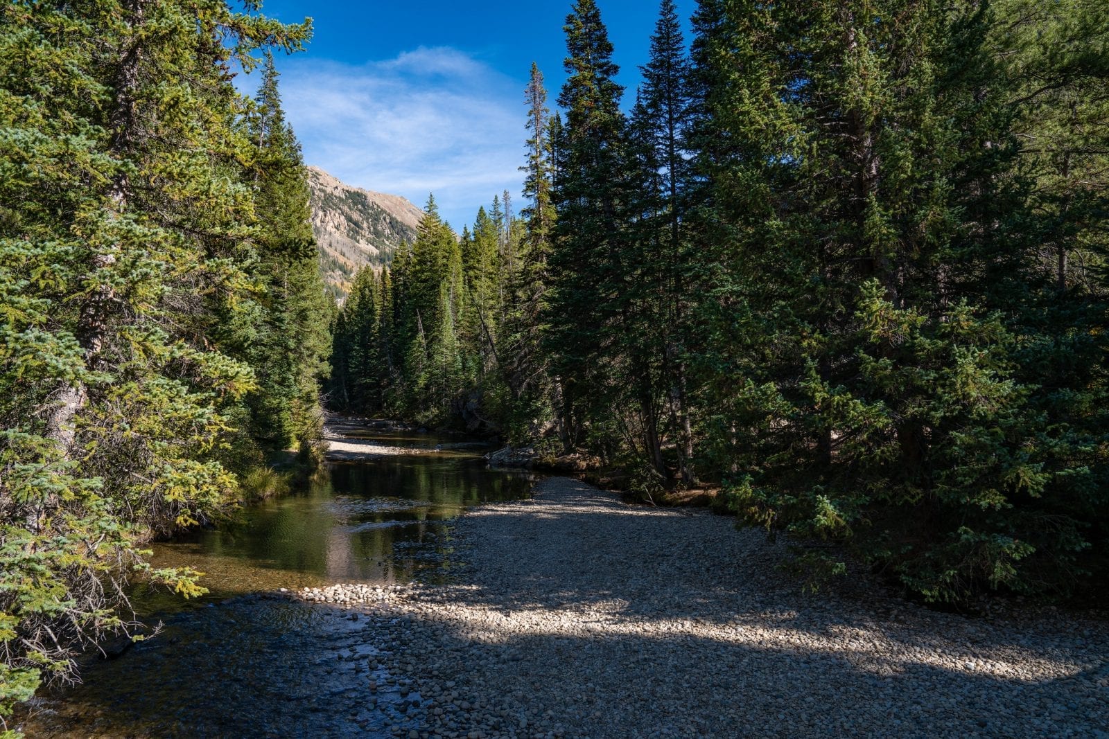 Image of the Roaring Fork River near Independence Pass in Colorado