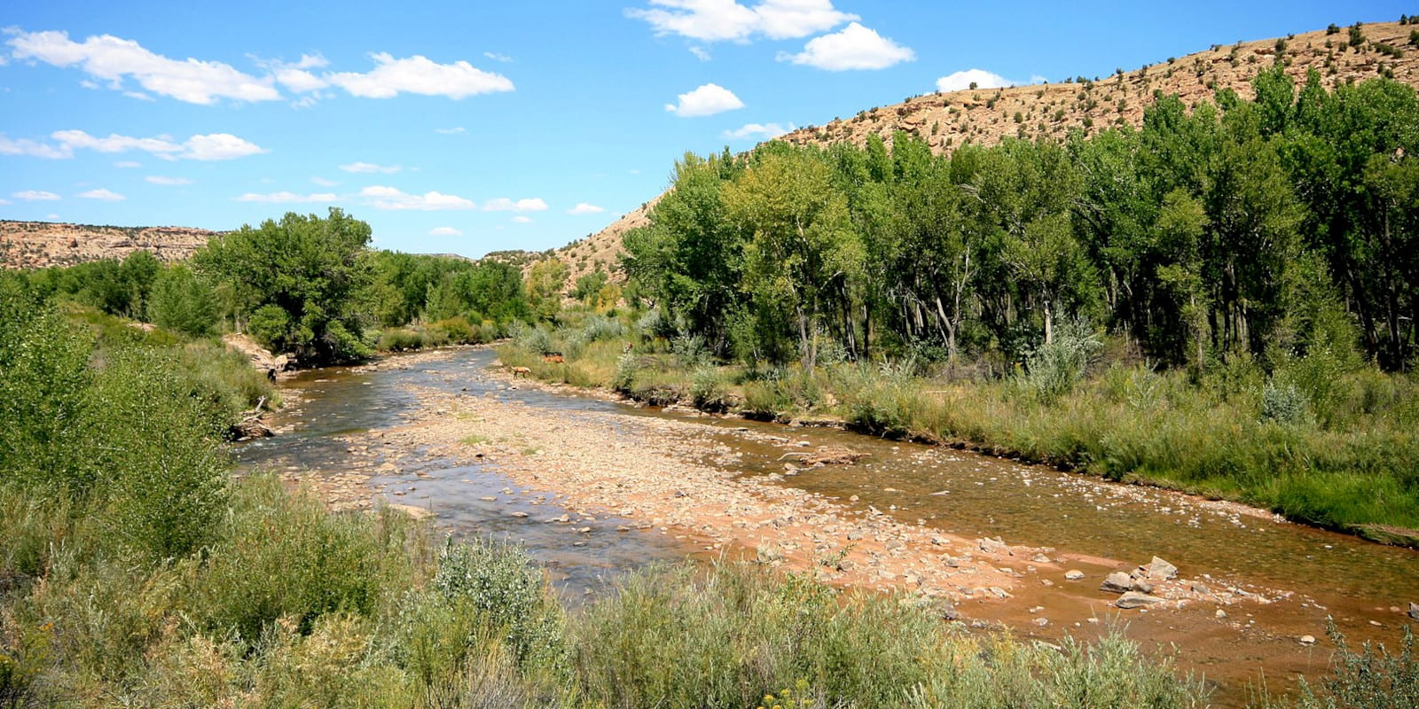 Image of the San Miguel River near Nucla in Colorado