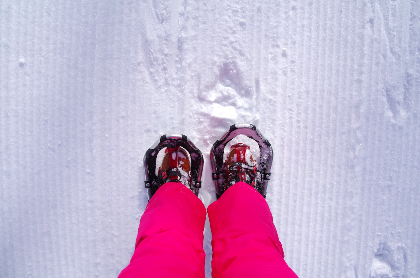 Snowshoeing Steamboat Springs CO