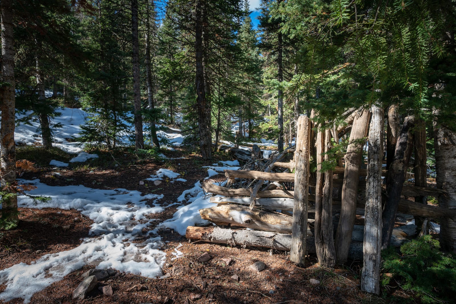 Spud Lake Trail Colorado