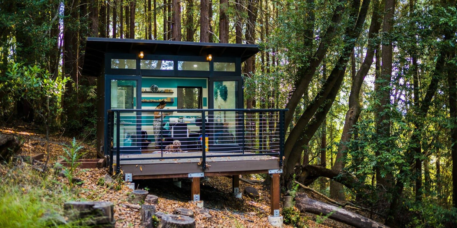 Image of a Studio Shed in the woods