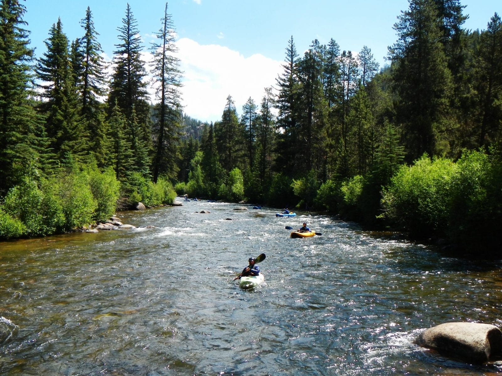 Image of kayakers on the Taylor River in Colorado