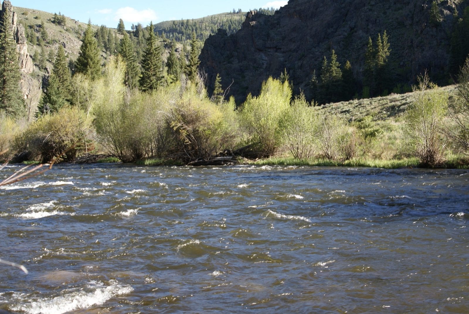 Image of the Taylor River near Almont