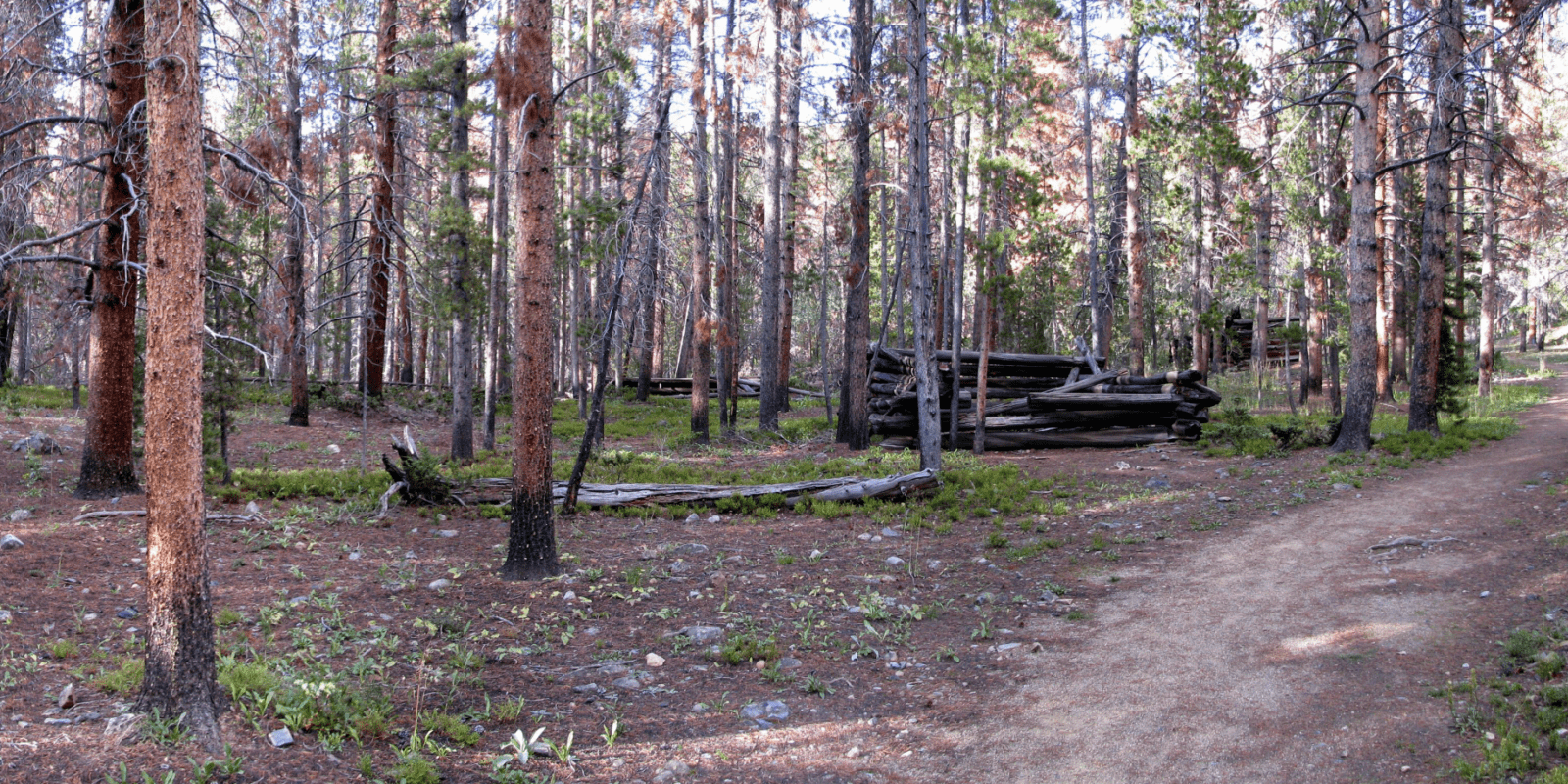 Image of the remnants of teller city in colorado 