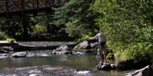 Fly Fishing Telluride Colorado