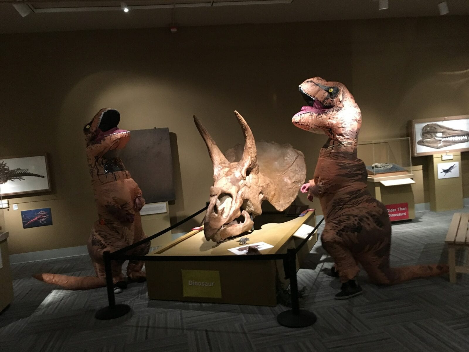 Image of dinosaurs at the CU Museum of Natural History 