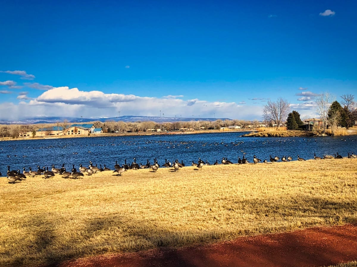 Confluence Park, Delta, CO
