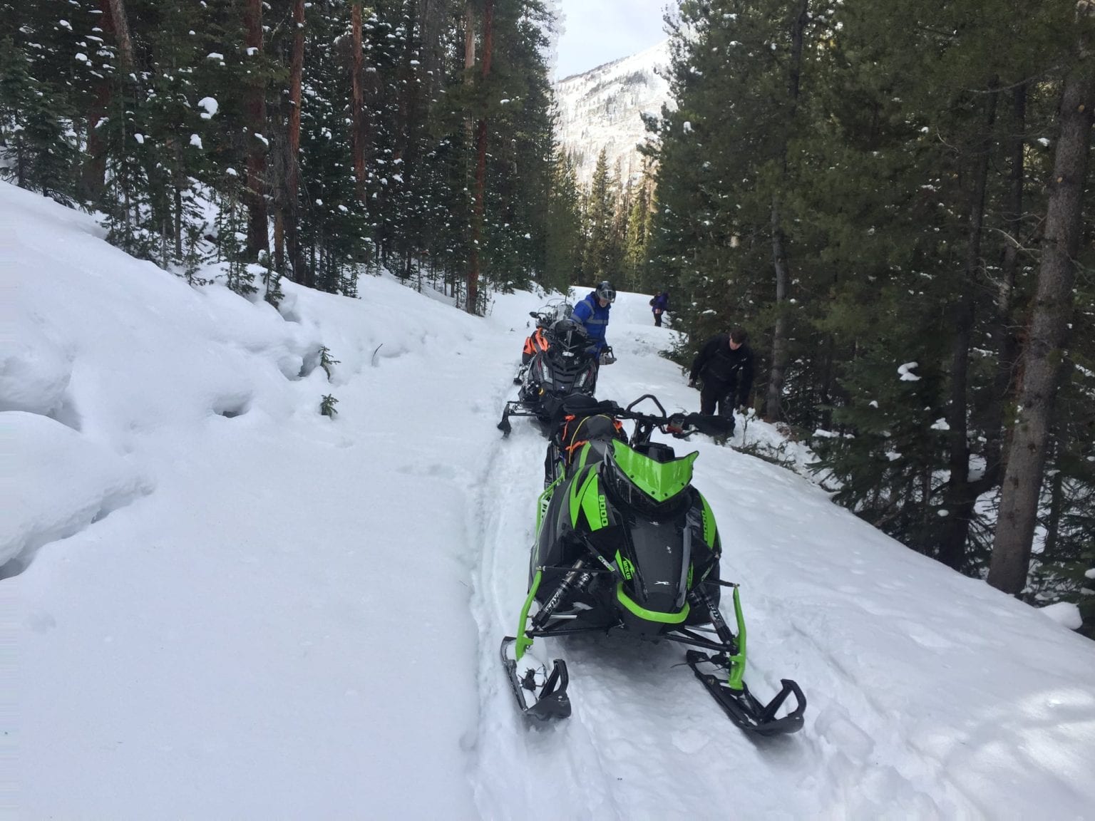 Top things to do in Buena Vista, Colorado