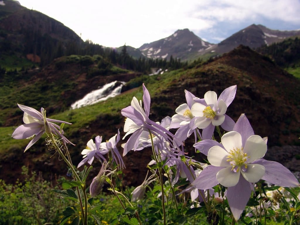image of yankee boy basin