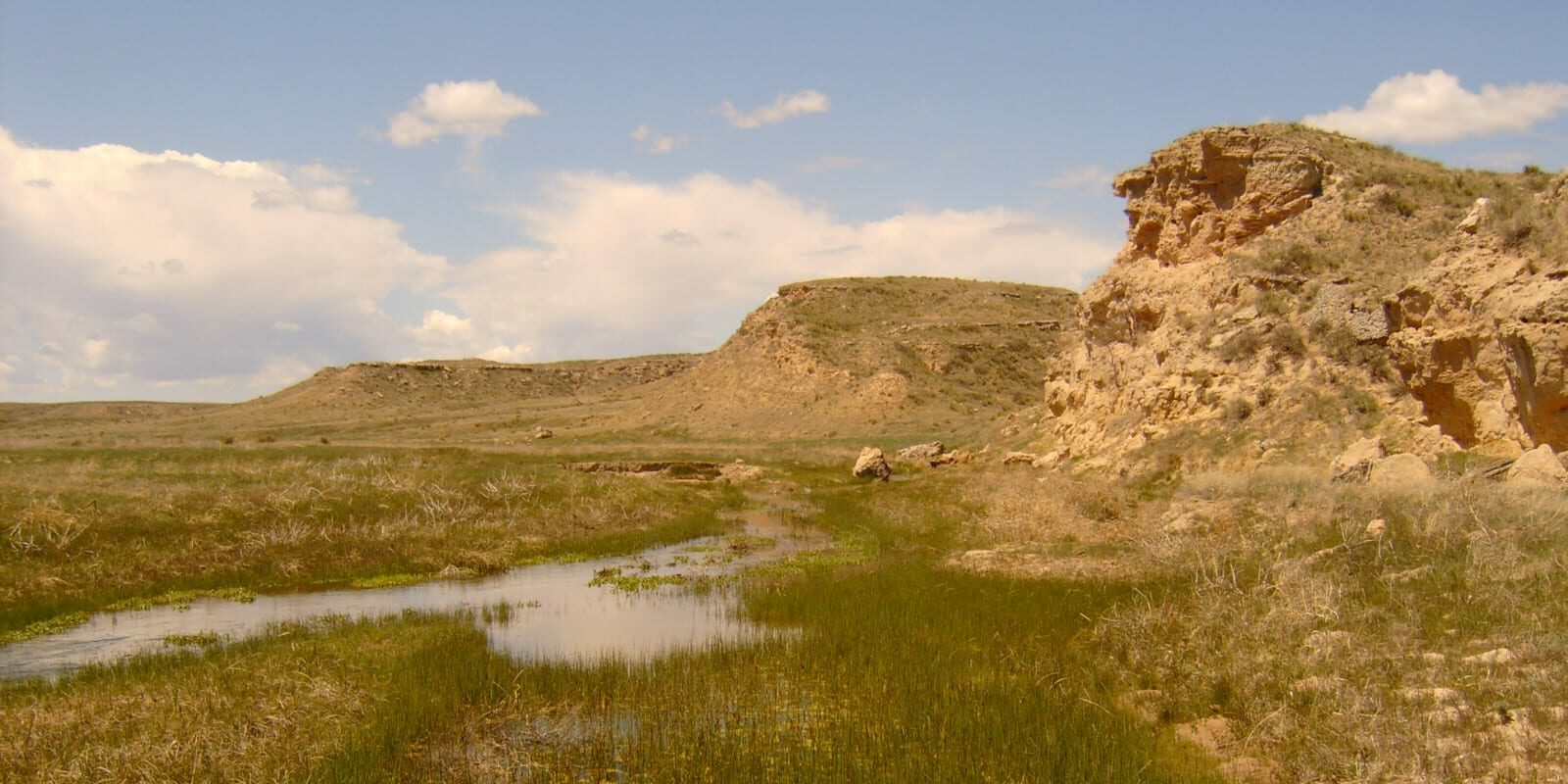 Image of the Arikaree River in the great plains