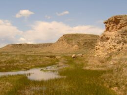 Image of the Arikaree River in the great plains