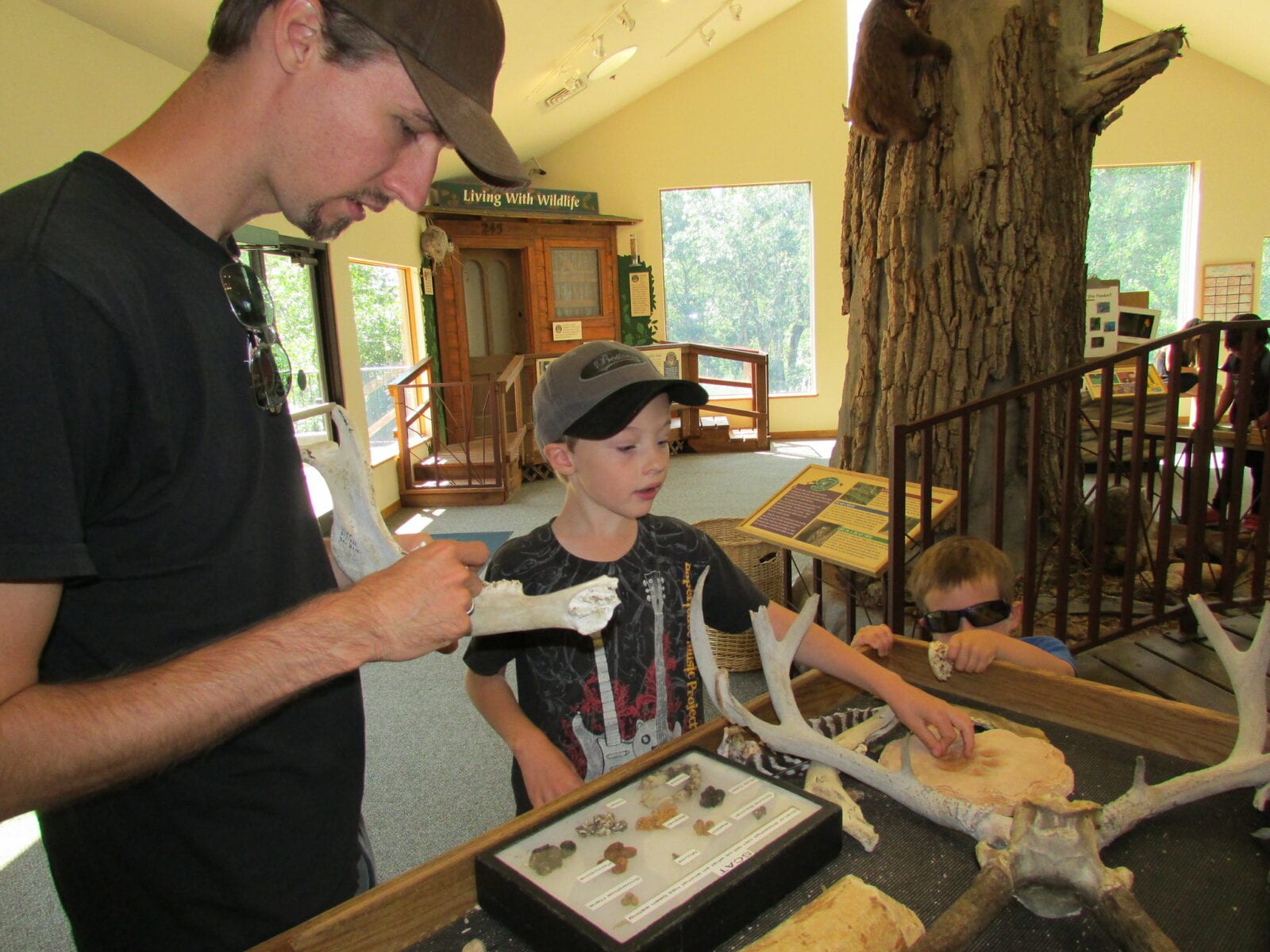 Image of children interacting with different exhibits in the Bear Creek Nature Center in Colorado Springs, Colorado