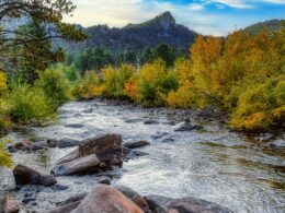 Image of the Big Thompson River surrounded by fall folliage