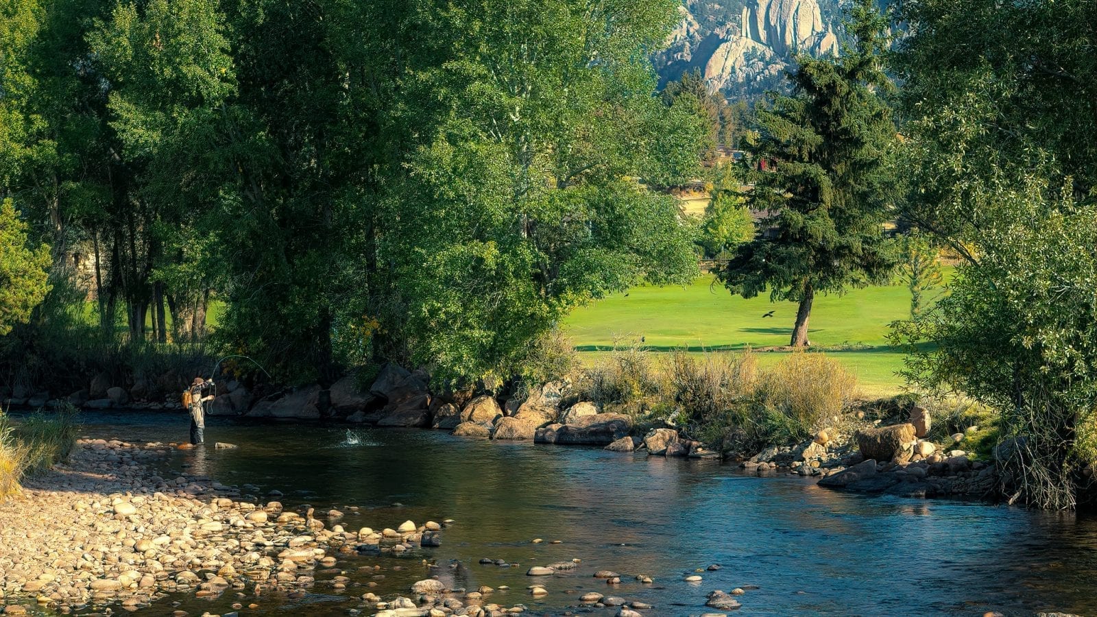 Image of a man fly fishing on the Big Thompson River in Colorado