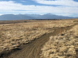 Image of a path at the Bluestem Prairie Open Space in Colorado Springs, Colorado