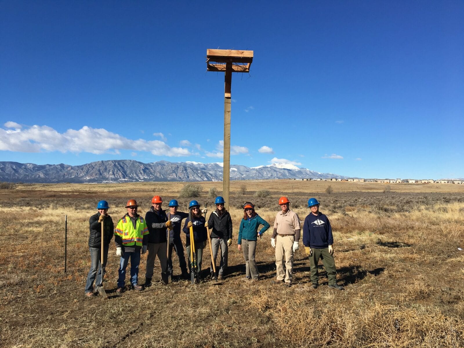 Image of the regional parks team installing bird nest boxes in Bluestem Prairie Open Space