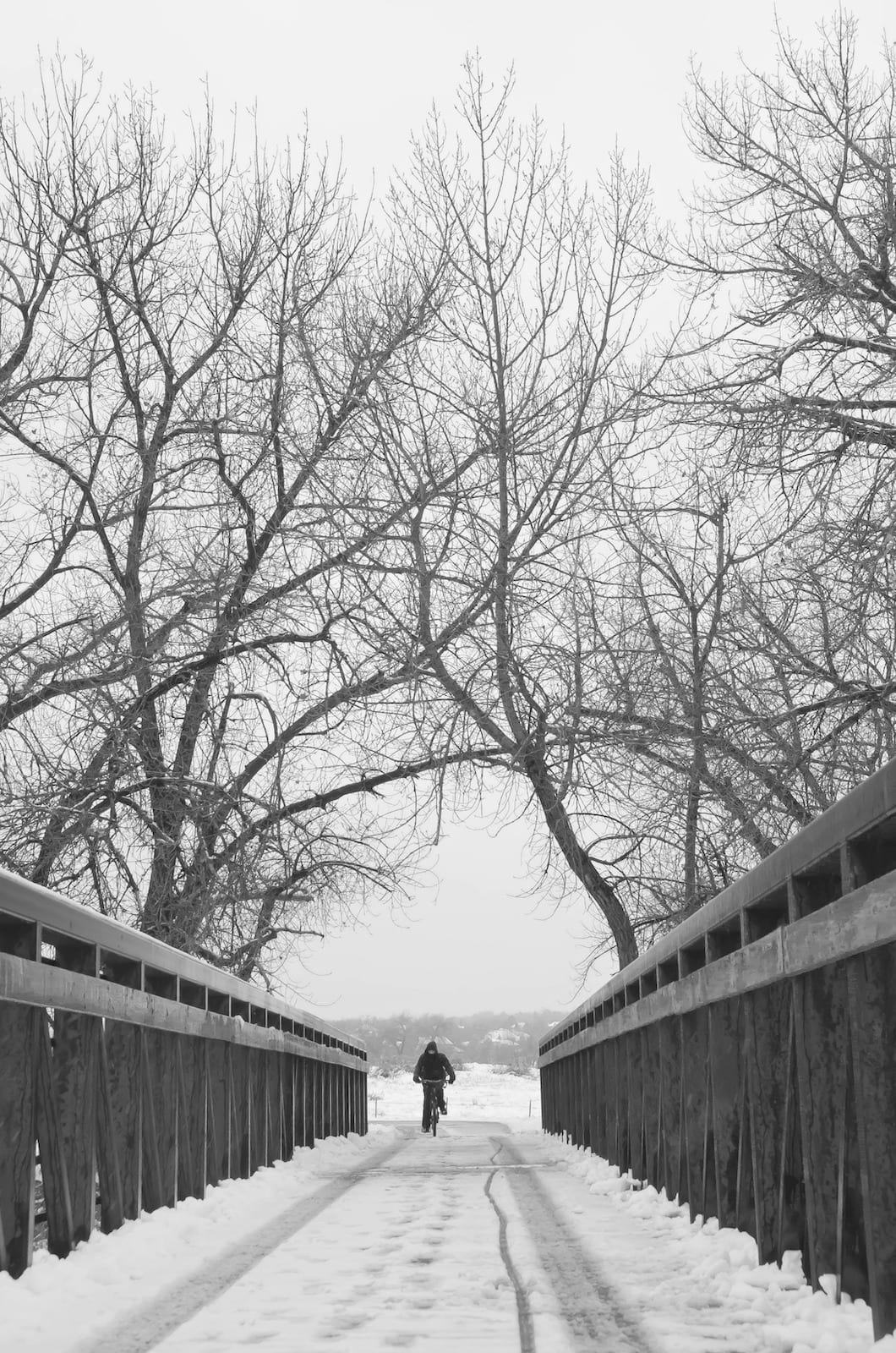 Footbridge over South Platte River Littleton CO