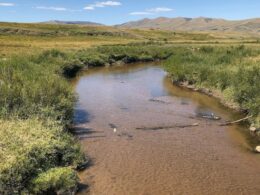 Image of the Canadian River in Colorado