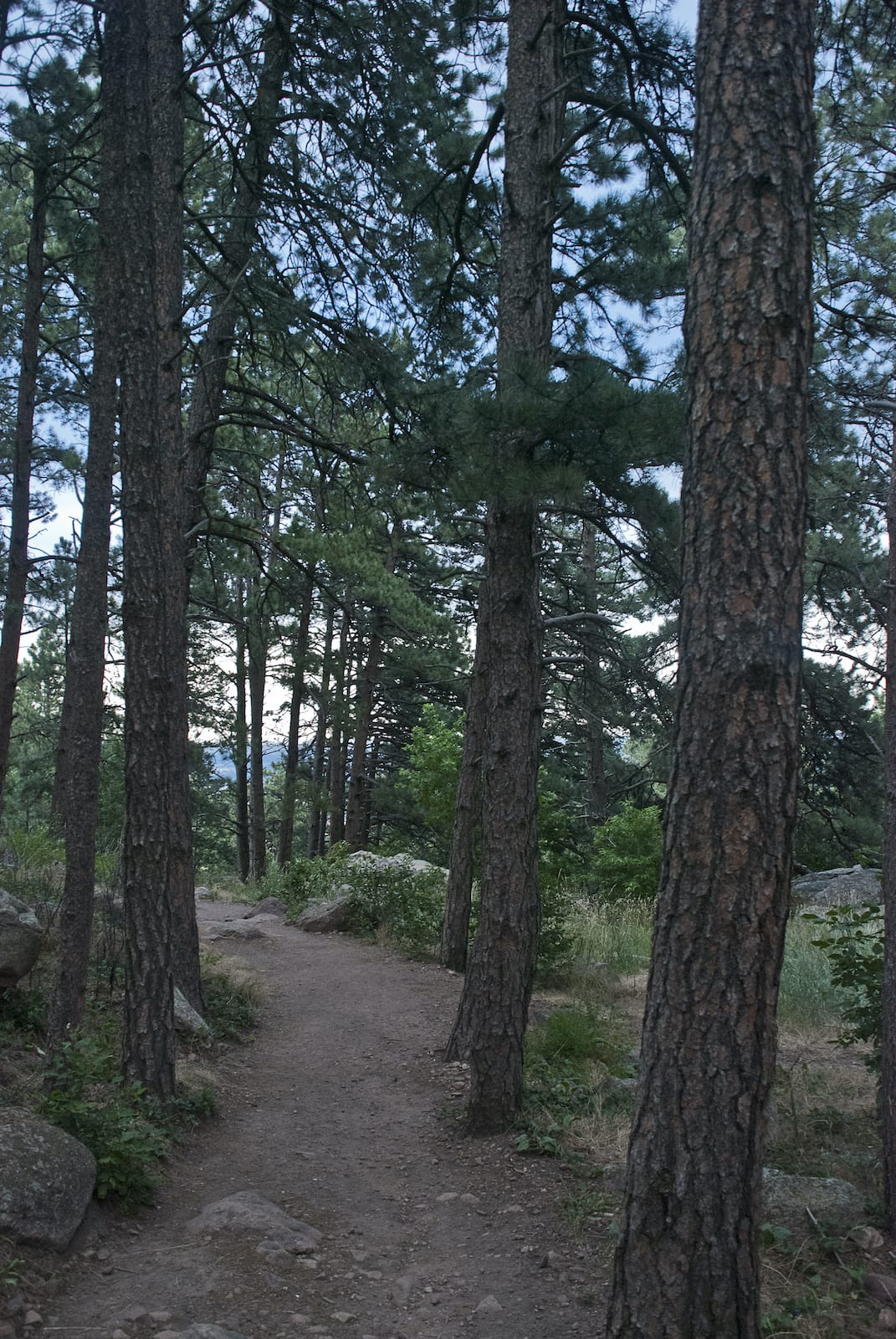 Chautauqua Trail Boulder Colorado