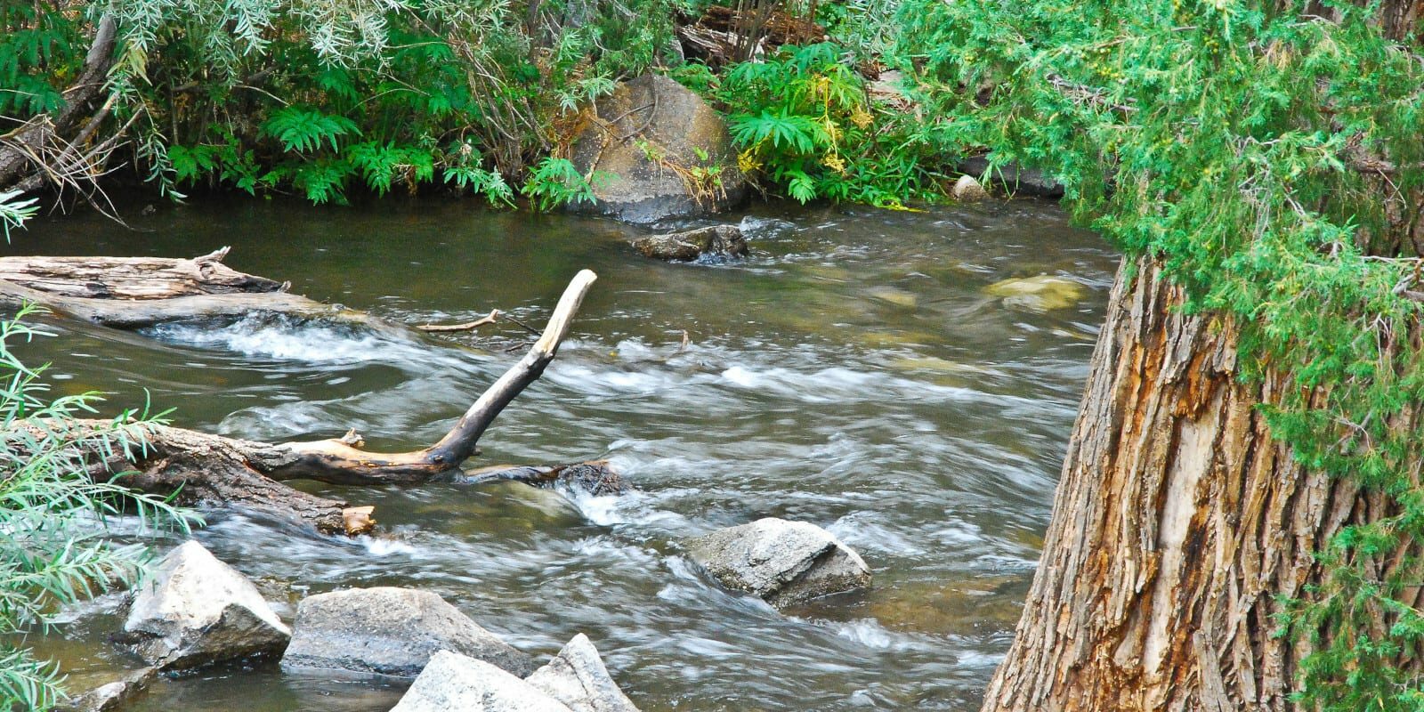 Image of the Cimarron River