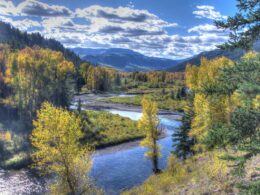 Image of the Conejos River in Colorado