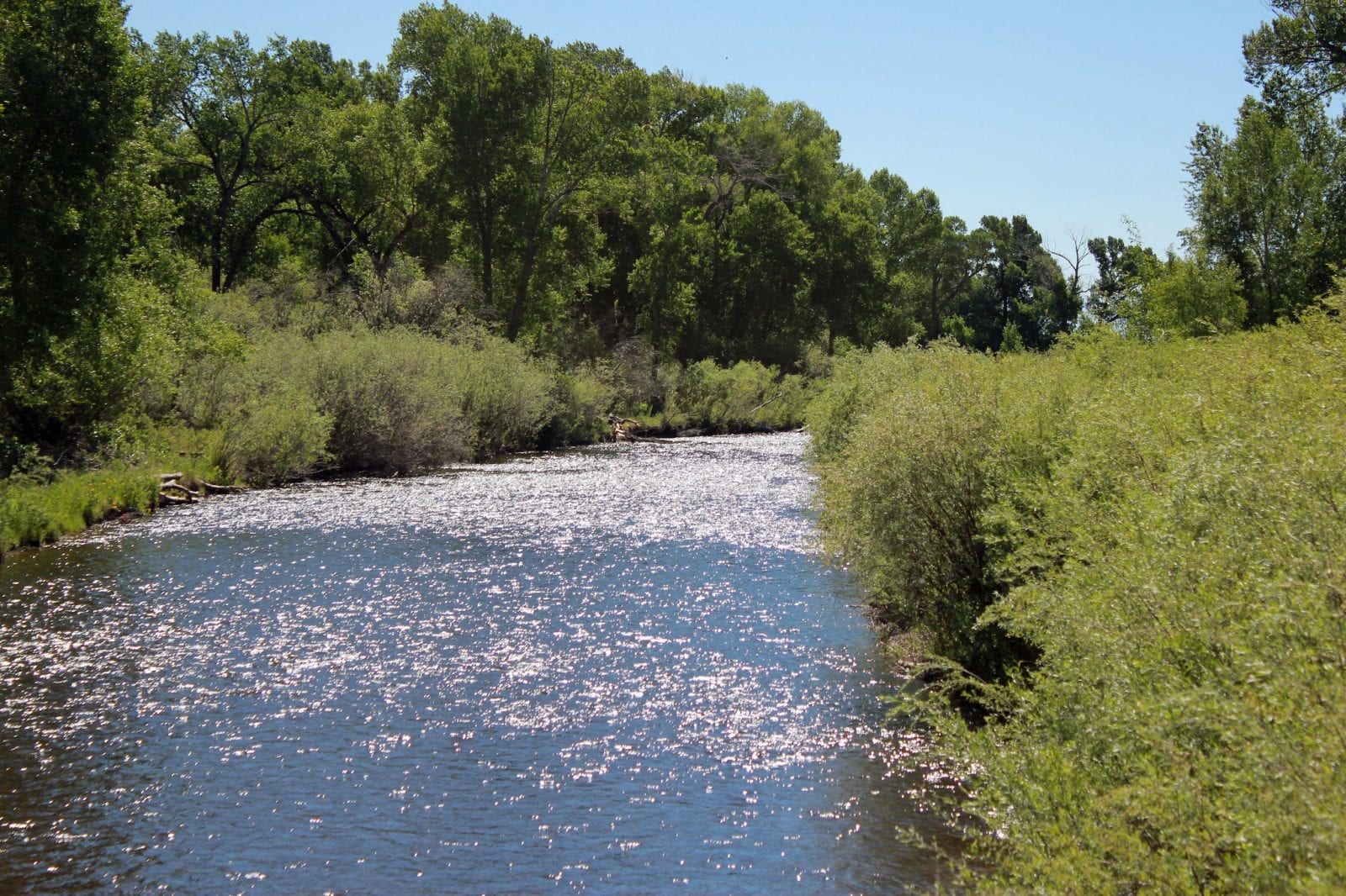 Image of the Conejos River in Conejos County, Colorado