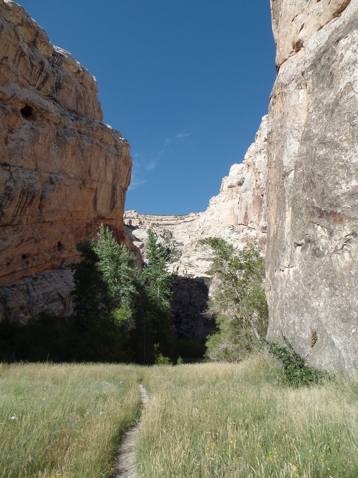 Dinosaur National Monument Hiking Trail