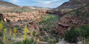 Dominguez-Escalante NCA Hiking Delta Colorado