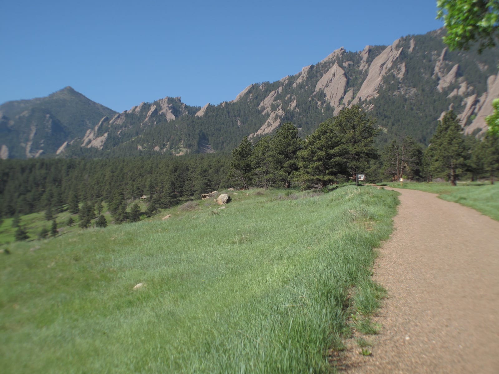 Enchanted Mesa Trail Boulder CO