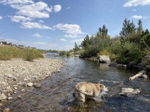 Fairplay Beach South Platte