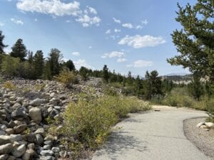 Fairplay Beach Hiking Trail CO