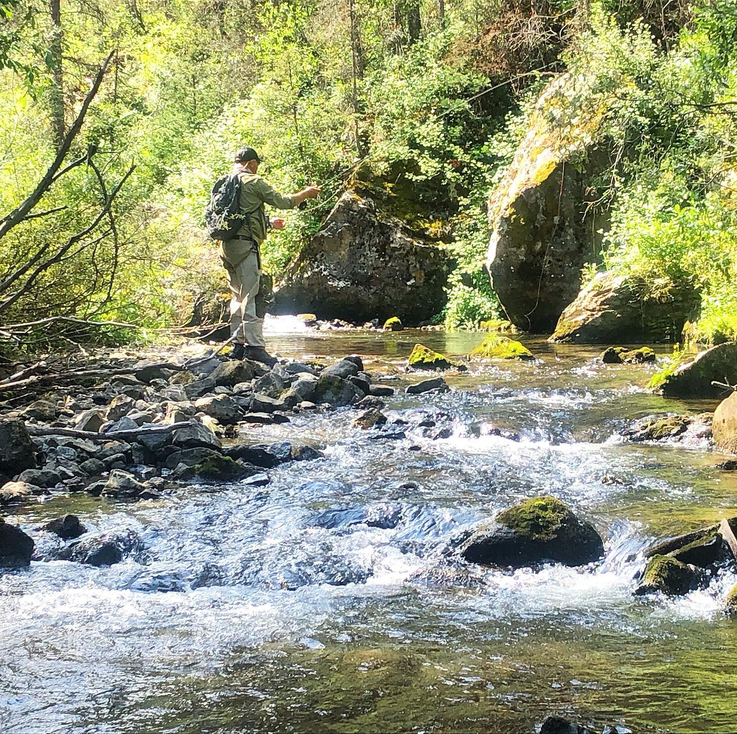 image of fly fishing in telluride