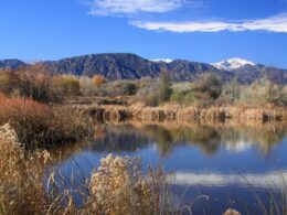 Image of the Fountain Creek Regional Park in Colorado looking out at Pikes Peak