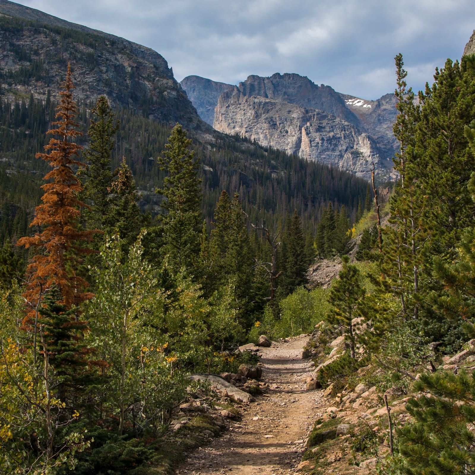 Glacier Creek Trail Hiking Rocky Mountain National Park