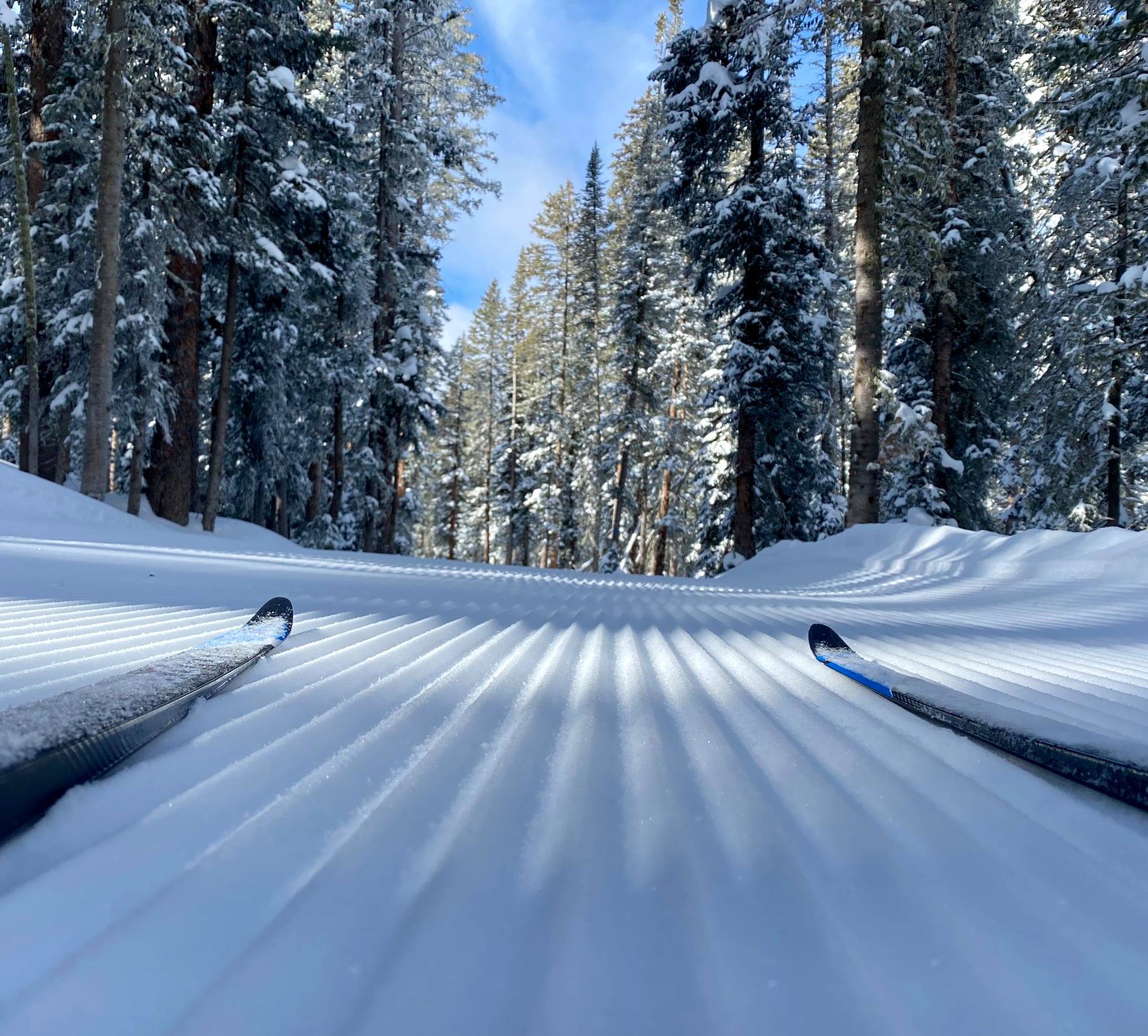 image of groomed trails in grand mesa