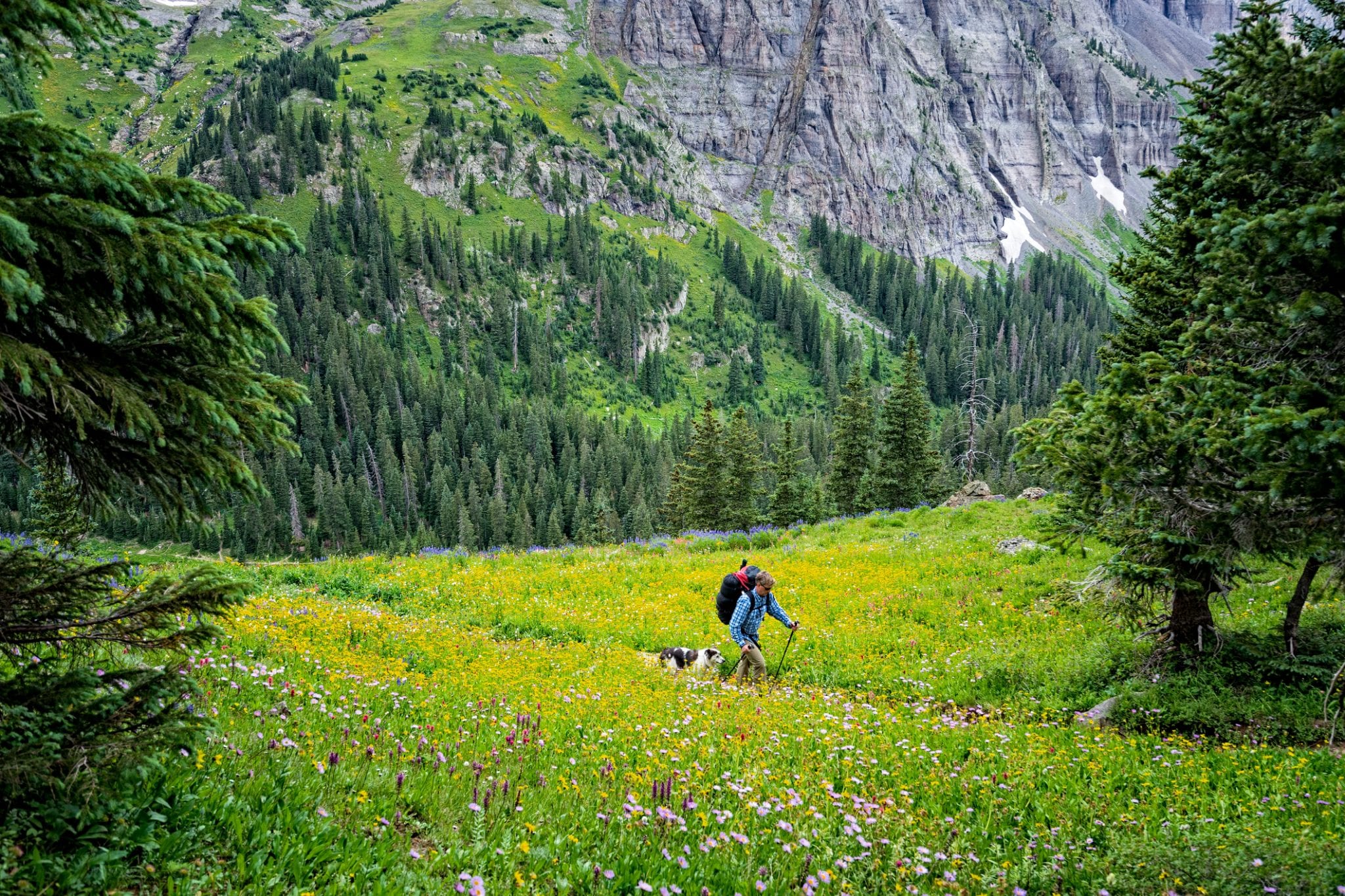 image of hiking sneffels wilderness