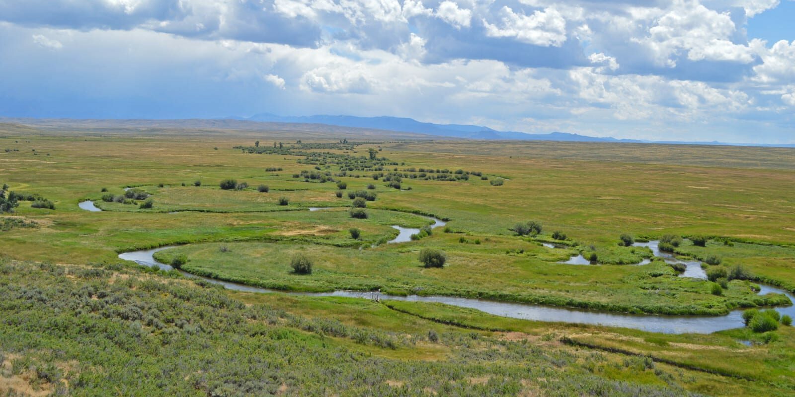 Image of the Illinois River in Colorado